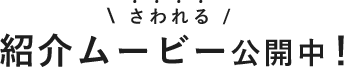 \ さわれる /紹介ムービー公開中！